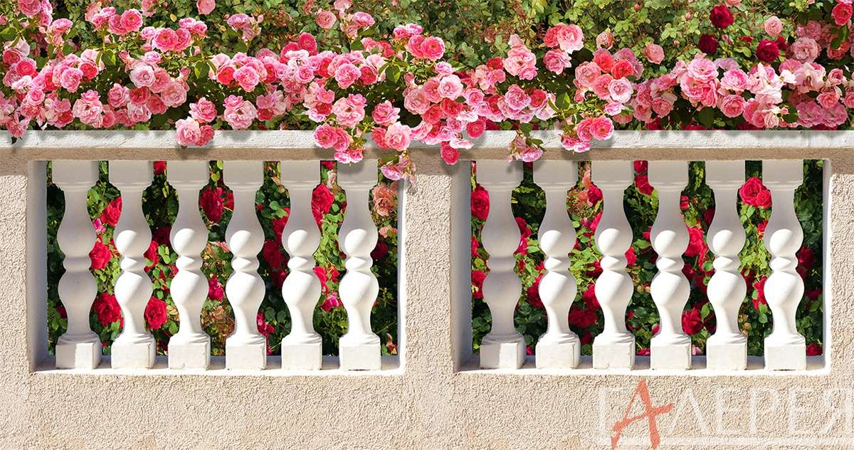 Природа, Пейзажи, балкон, балясины, баллюстрада, цветы, розовые цветы, на балконе, много цветов, балкон в цветах