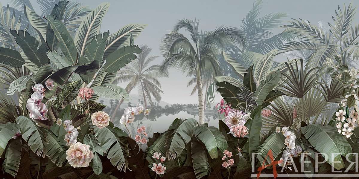 Природа, Тропики, пальмы, тропические цветы