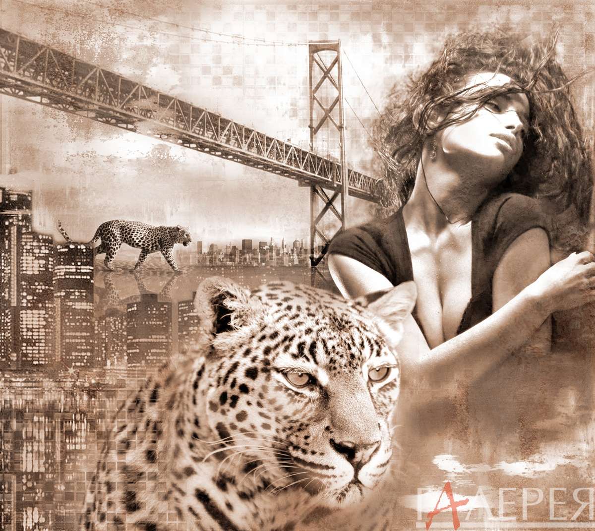 современный сюжет, леопард, гепард, коллаж, девушка, город, мост