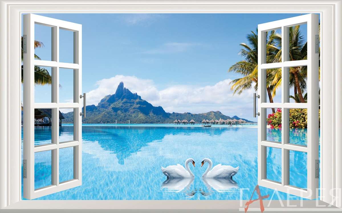 окна, 3D обои, окно, лебеди, озеро, пальмы, 3d