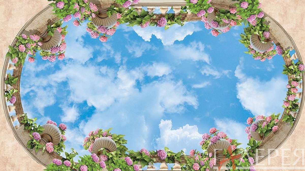 Потолочные, потолок, на потолок, небо, облака, вазоны, цветы, розовые цветы