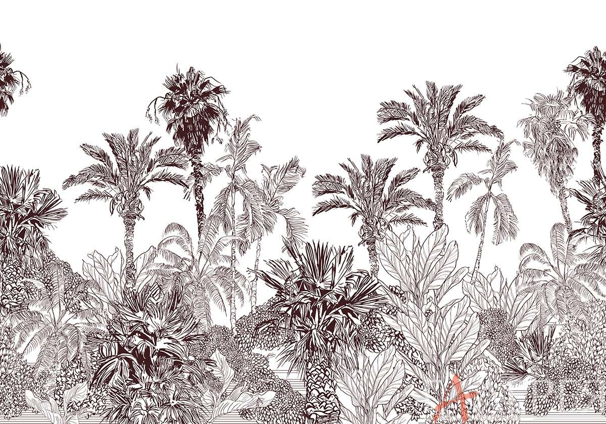 Природа, Тропики, пальмы, монохромный рисунок, карандашный рисунок