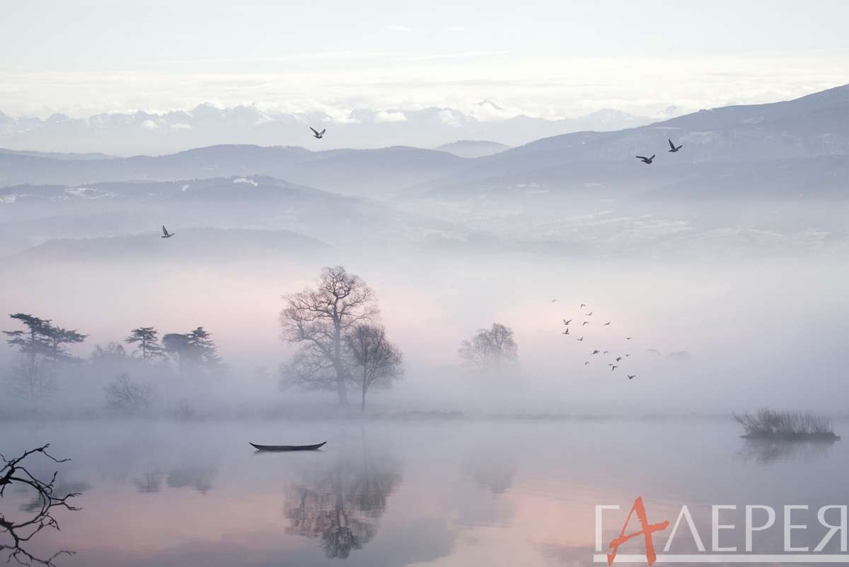 туманное озеро, туман, озеро, лодка, птицы, горы