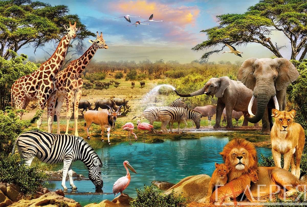 Животные, Дикие животные, жирафы, слоны, зебра, лев, львы, Африка, саванна, водопой