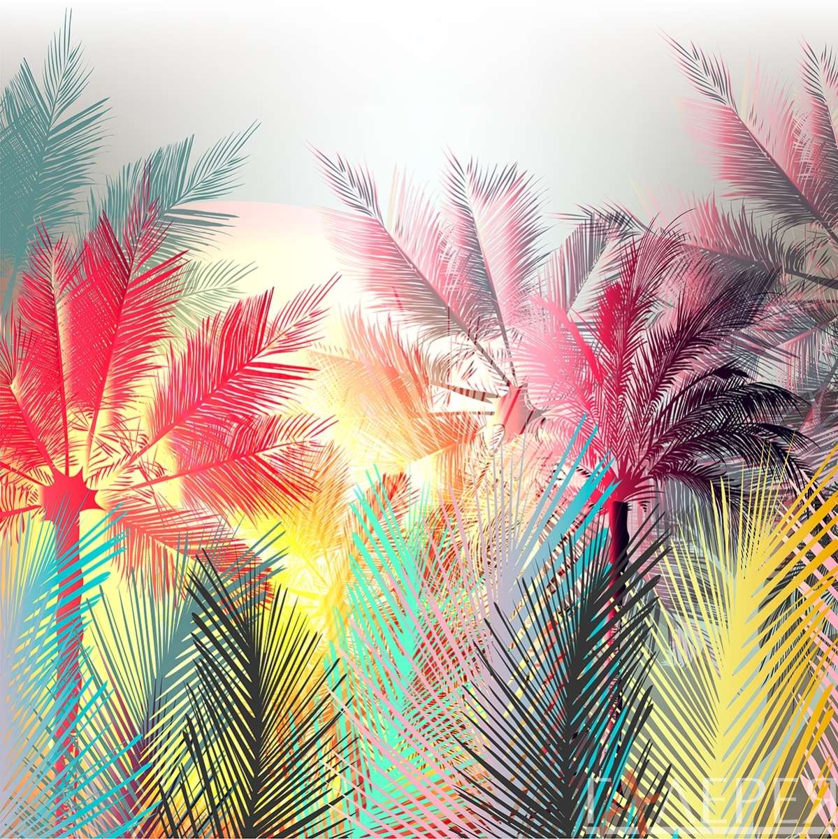Природа, Тропики, пальмы в тумане