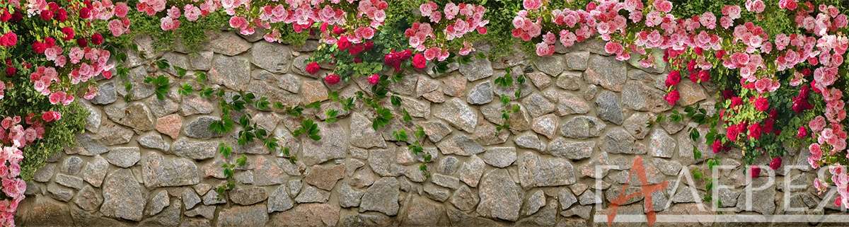 Природа, Пейзажи, стена, камень, каменная стена, цветы, розы, розы на стене, лоза, на стене, стена в цветах