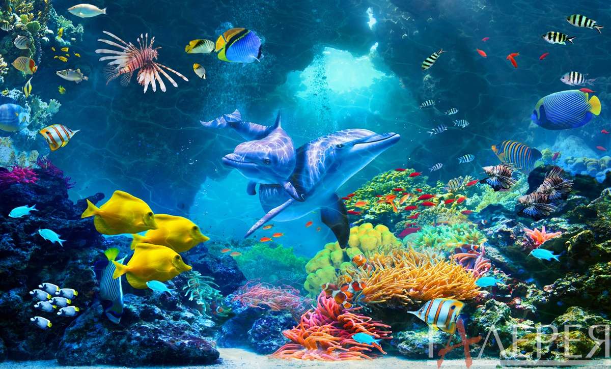 Детские, тинейджеры, море, океан, подводный мир, рыбы, рыбки, коралл, кораллы, дельфин, дельфины